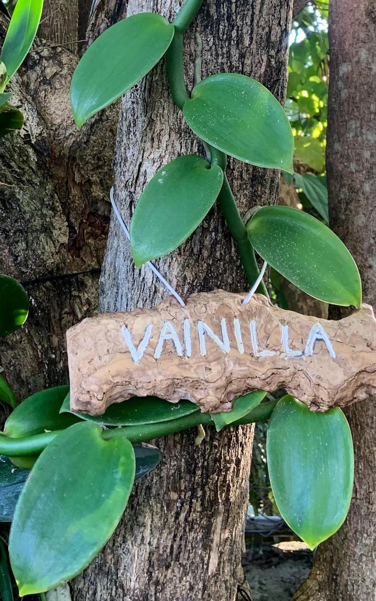 Villa Motmot Tamarindo Luaran gambar